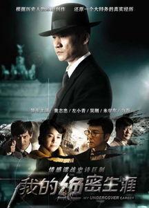 我的绝密生涯,揭秘神秘特工的惊险历程