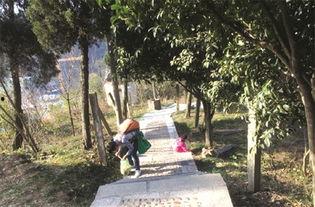 春日攀京枝,踏青赏花，探寻古都春韵