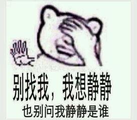 我要静静,探寻“我要静静”的内心世界