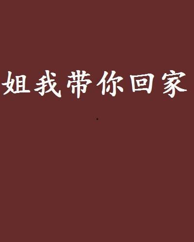 我带你回家,一场关于爱与救赎的温馨旅程